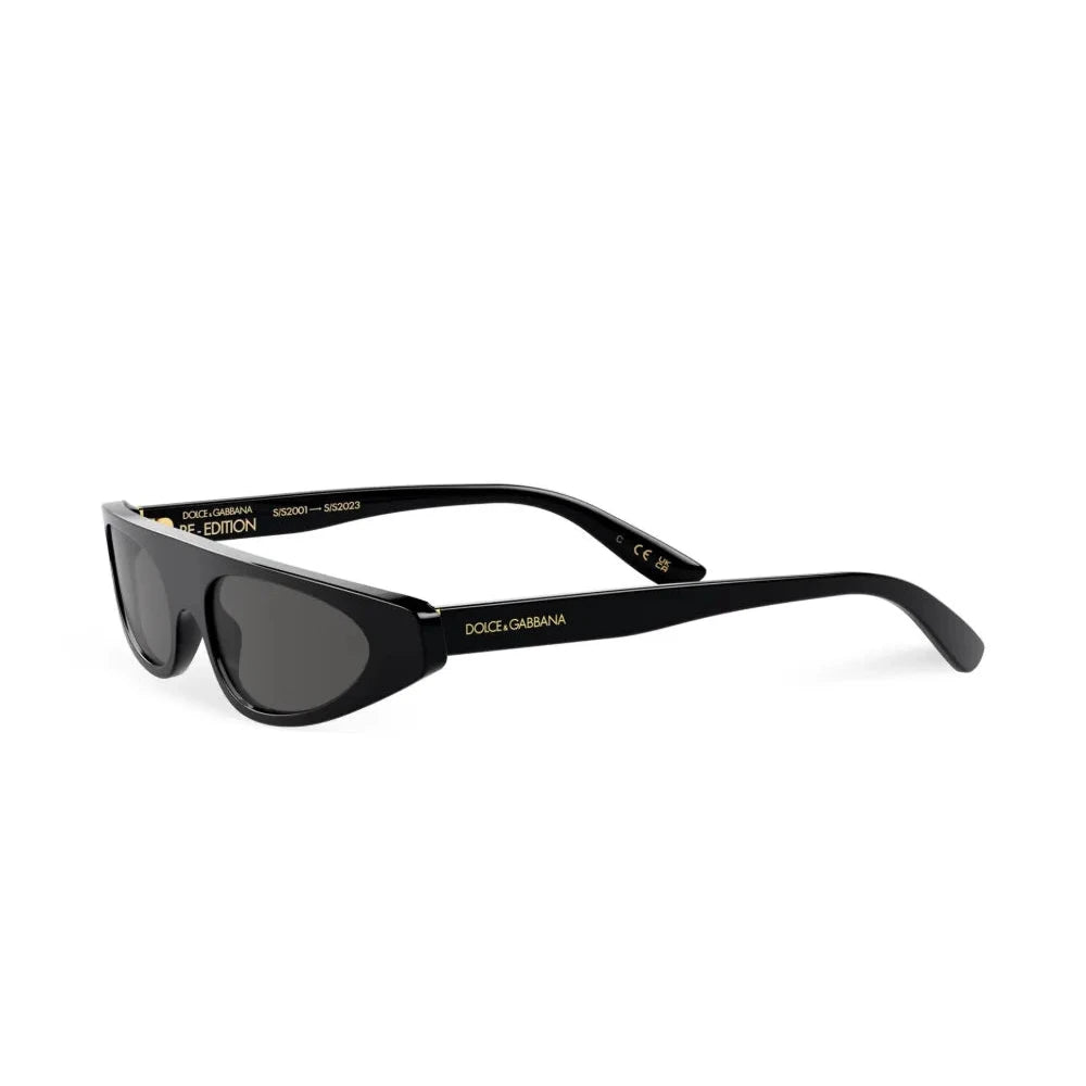 Dolce & Gabbana Eyewear Re-Edition DNA cat-eye frame sunglasses