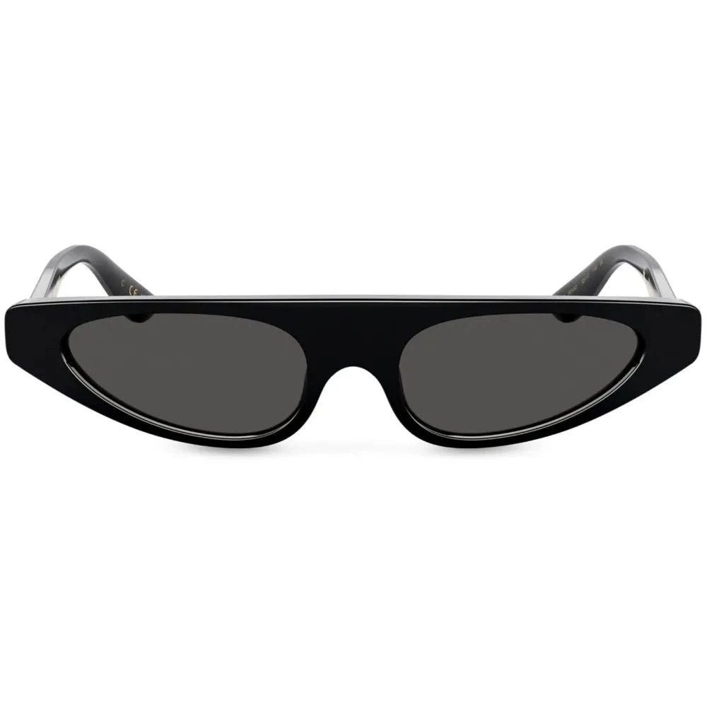 Dolce & Gabbana Eyewear Re-Edition DNA cat-eye frame sunglasses