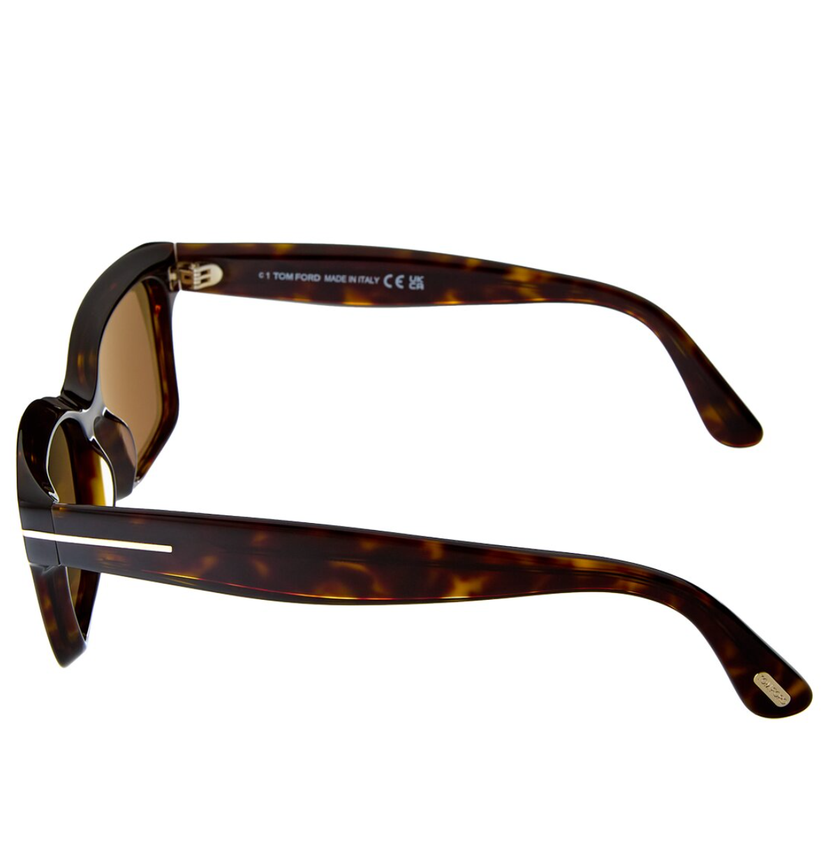 Tom Ford Brown Mikel Sunglasses